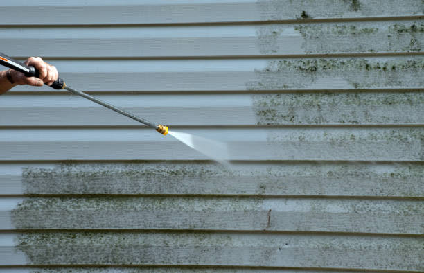 Solar Panel Cleaning in Yoakum, TX